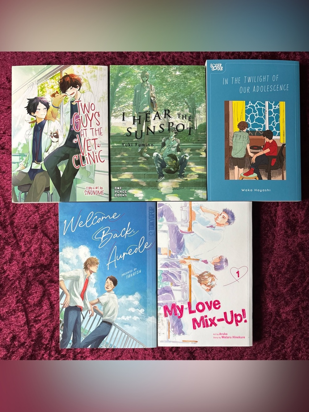 BL manga bundle